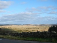 DSCF9378