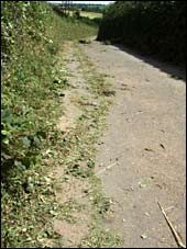 Road near Staverton covered in cuttings.