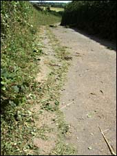 Road near Staverton covered in cuttings.