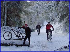 Snowy Fun - photo- vaughan Brean