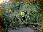 Jason Kingsbury carries his bike over a  fallen tree.