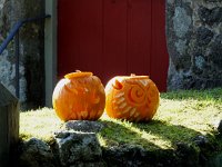 pumpkins nbovey