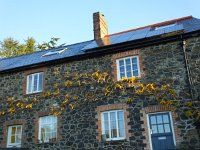 autumn cottage