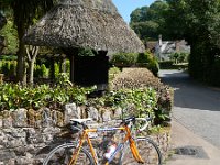holdsworth thatch cockington