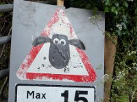 shaun sheep15