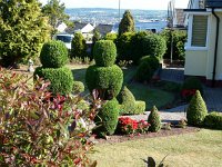 topiaries paignton