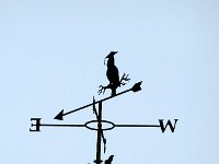 vane owl kk