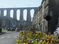 morlaix in bloom