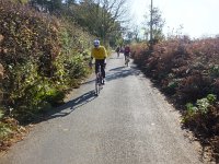 DSCF0578