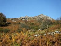 DSCF0768