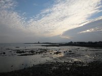DSCF7499