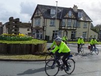 bovey jenga daffs