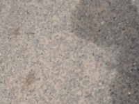 DSC00553