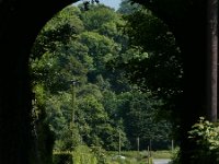 kevin stella bridge